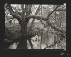 Meandr