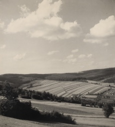 Krajina