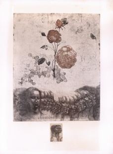 Vanitas