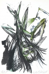 Něha