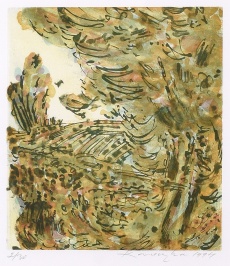 Krajina