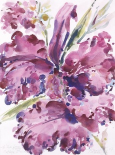 Orchidej