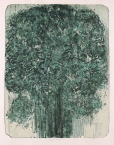 Zelený strom