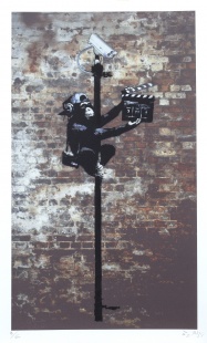 Monkey Making a Movie