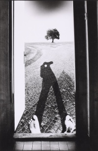 Surrealistická vize