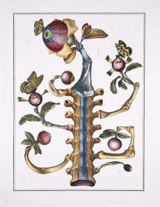 Oko