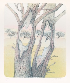 Stromy - milenci