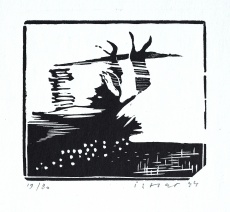 Mizející figura