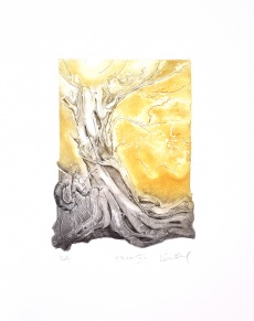 Strom II.