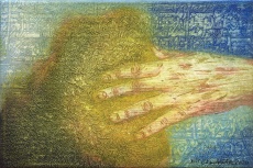 Dřevokazná houba