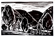 Vrchovina