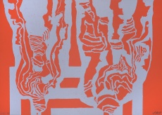 Detail přiblížení