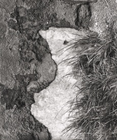Křik