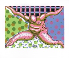 Plešoun