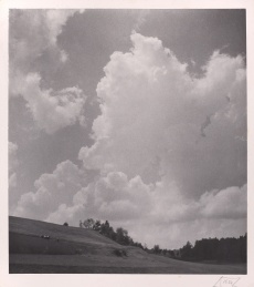 Bohemian Landscape