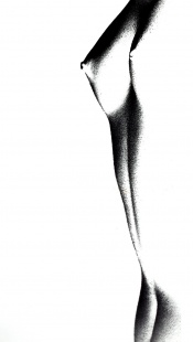 Torso
