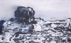 Vřesoviště II.