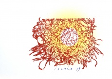 Slunce