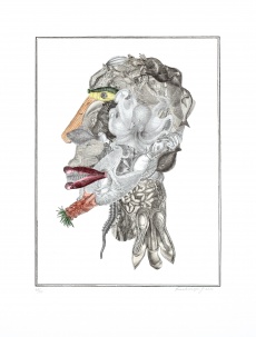 Arcimboldeskní hlava