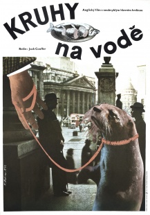 Kruhy na vodě
