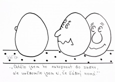 Konvolut, 8 ks