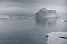 Iceberg