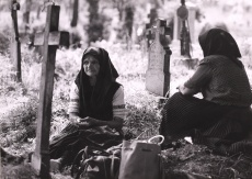 Les Vivants
