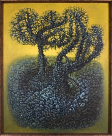 Žlutý kraj