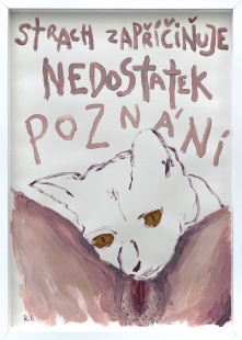 Poznání