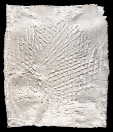 Entropie