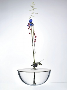 Pod krustou