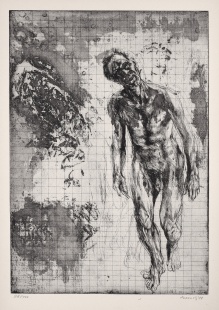Člověk Job VIII.