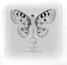 Eva Wunderlich