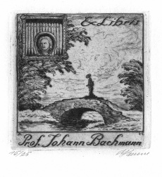 Prof. Johann Bachmann