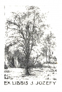 Konvolut, 2 ks