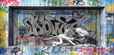 Panel Story