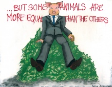 All Animals are Equal