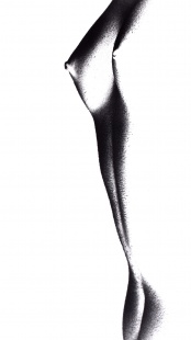 Torzo