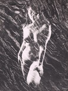 Akt