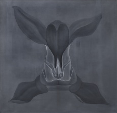 Orchidej