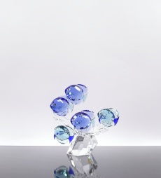 Hejno ryb, Swarovski