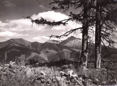 Podbansko