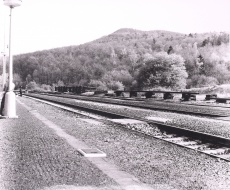 Koleje