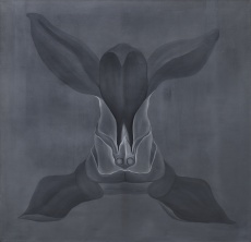 Orchidej