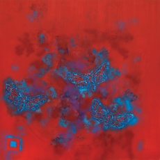 Red Blue Dimension