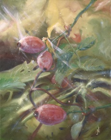 Rosehip