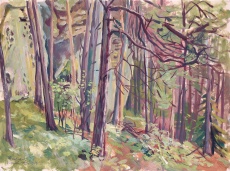 Kokořín