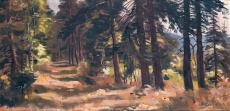 Vápeníkov