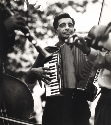 Harmonikář