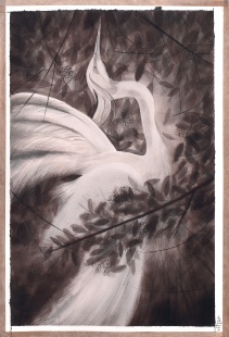 White heron